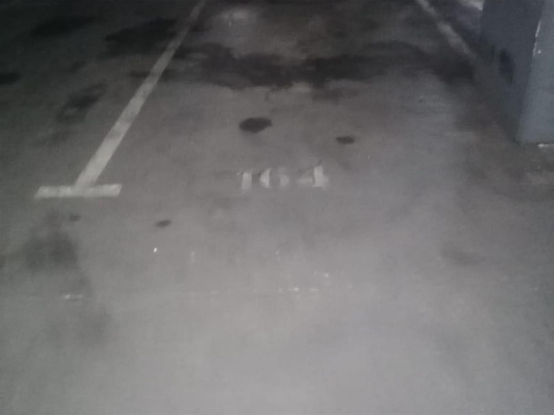 Parking of Garage to rent in Leganés