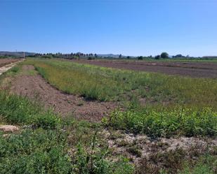 Land for sale in Guardamar del Segura