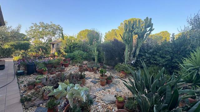 Casa-chalet en Venta en Calle el Acebuche, 16 en Dehesa - Monacilla