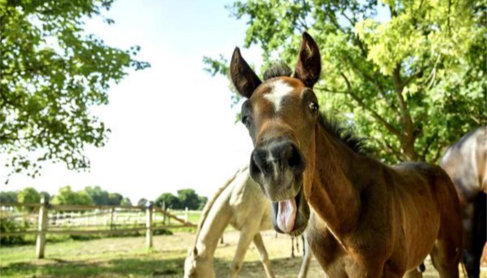Foto 1 de No Urbanitzable de lloguer a Carrer Torres Clavé, 14, Gavà Mar, Barcelona