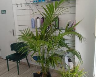 Premises to rent in Málaga Capital  with Air Conditioner, Heating and Furnished