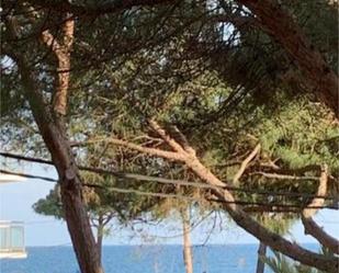 Garden of Apartment to rent in Castell-Platja d'Aro  with Terrace