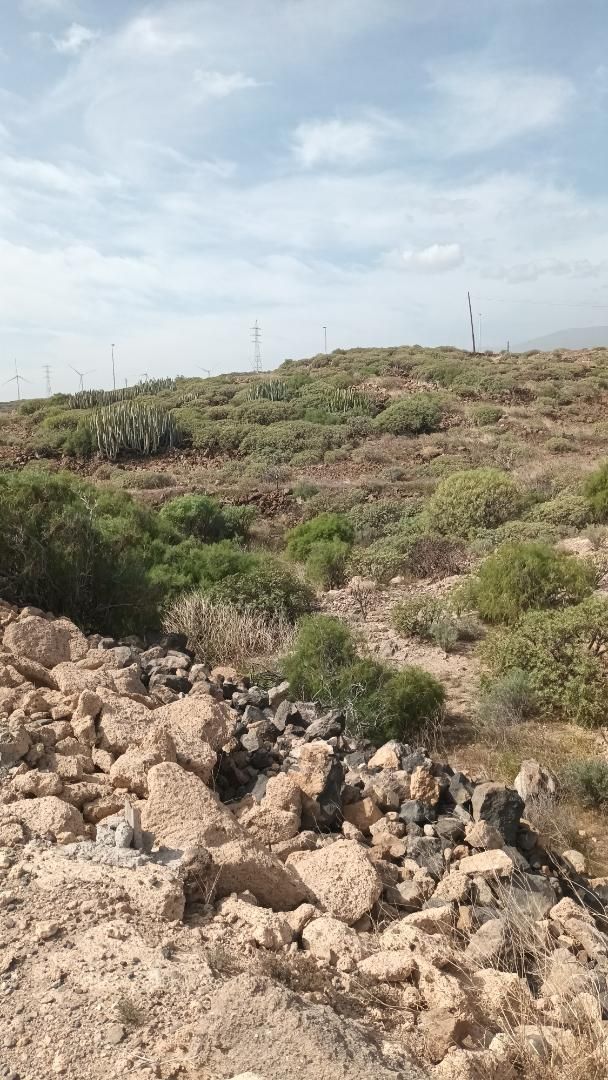 Constructible Land for sale in Arico