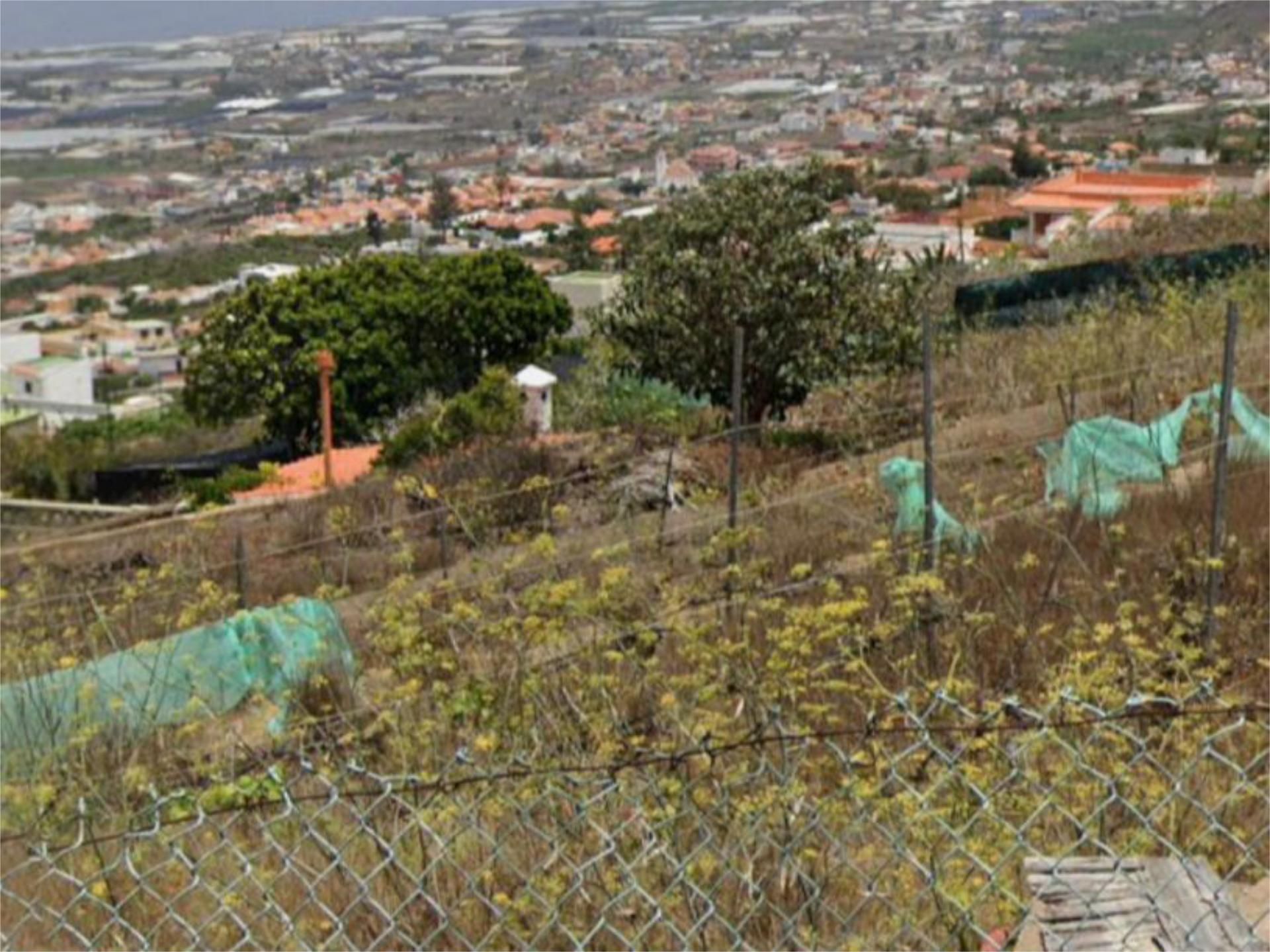 Non-constructible Land for sale in San Cristóbal de la Laguna