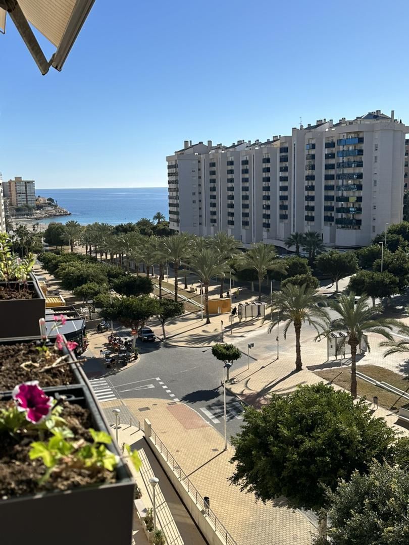 Vista exterior de Pis en venda en Villajoyosa / La Vila Joiosa amb Aire condicionat, Calefacció i Jardí privat