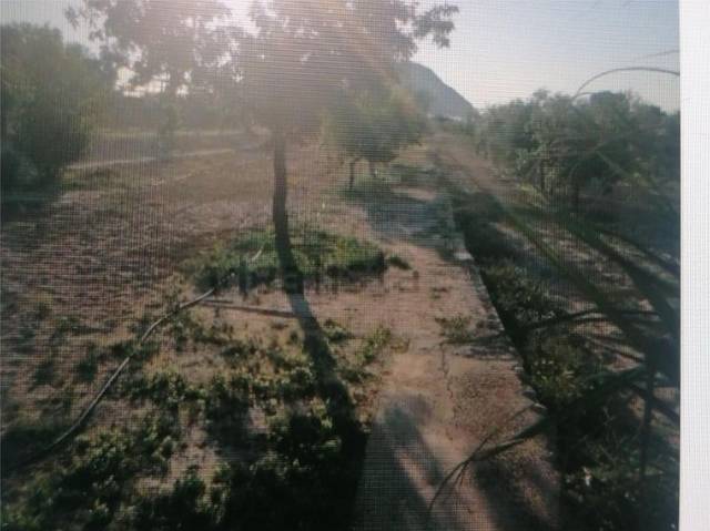 Terreno en Alquiler en Diseminado el Rebolledo, 30C en Rebolledo