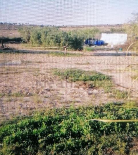 Foto 2 von Grundstücke zur Miete in Diseminado el Rebolledo, 30c, Rebolledo, Alicante / Alacant