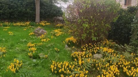 Planta baja for sale in Calle Mayor, 21, Bustarviejo, Madrid - image 4 Photo 4 of Planta baja for sale in Calle Mayor, 21, Bustarviejo, Madrid