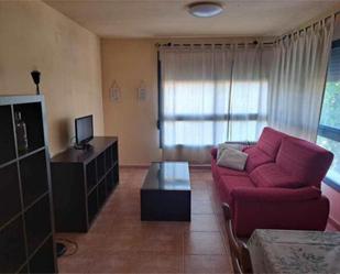 Sala d'estar de Pis de lloguer en  Murcia Capital amb Calefacció i Moblat