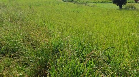 Foto 2 de Urbanitzable en venda a Barrio Parroquia de Squiero, 9, Parroquias rurales, A Coruña