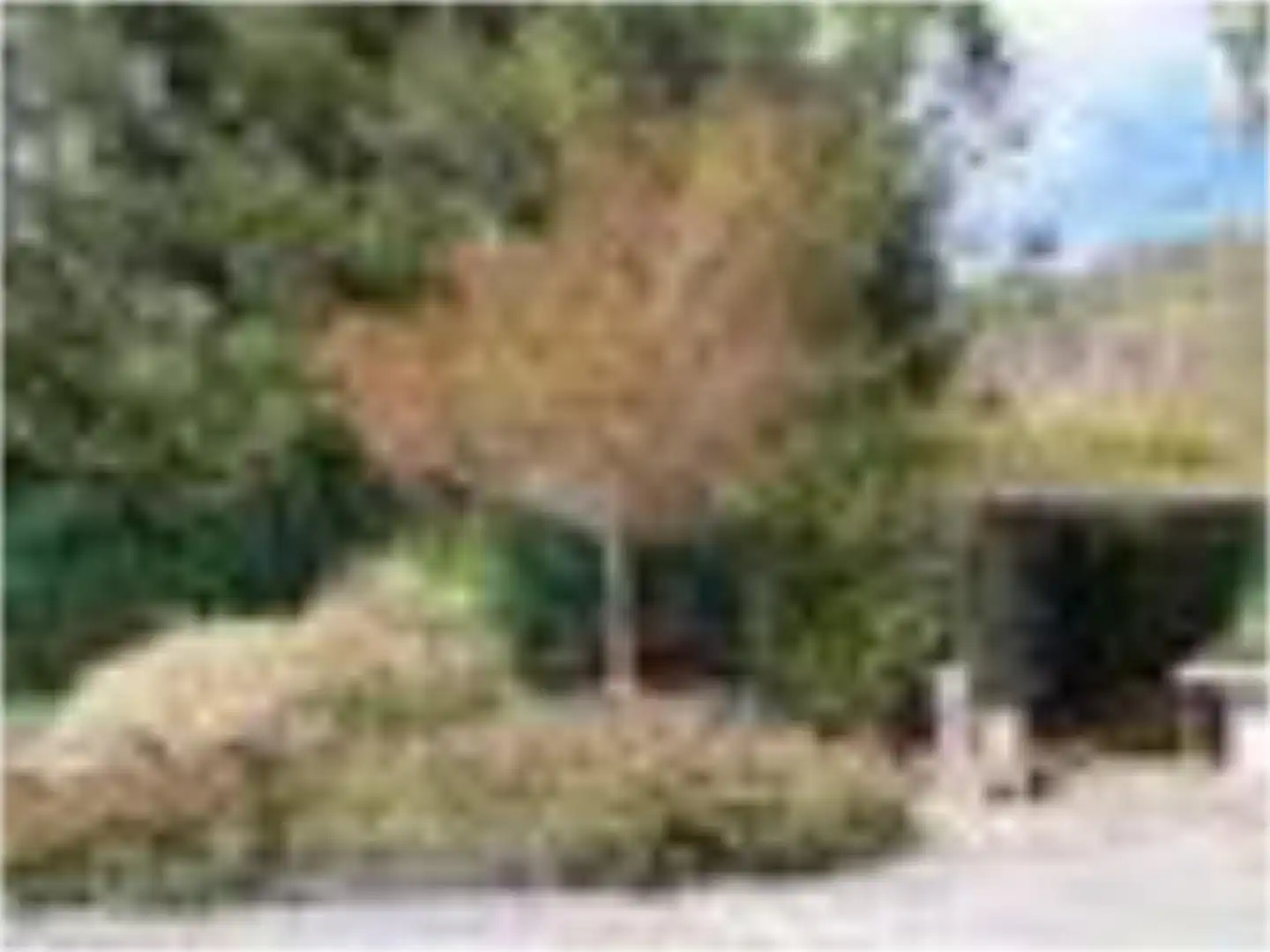 Country house zum Verkauf in Lugar Fraganova, 1, San Sadurniño Country house zum Verkauf in San Sadurniño mit Privatgarten