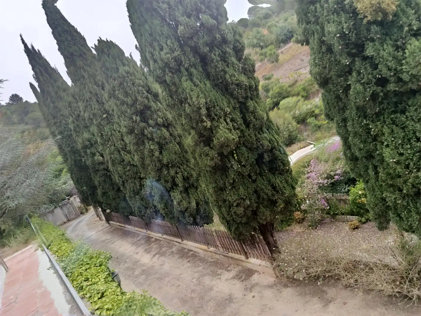 Finca rústica en venda a Cami Albiol, 8, La Selva del Camp Jardí de Finca rústica en venda en La Selva del Camp amb Aire condicionat, Terrassa i Piscina