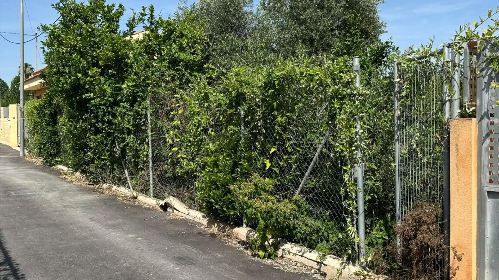 Terreno en venta en  Murcia Capital