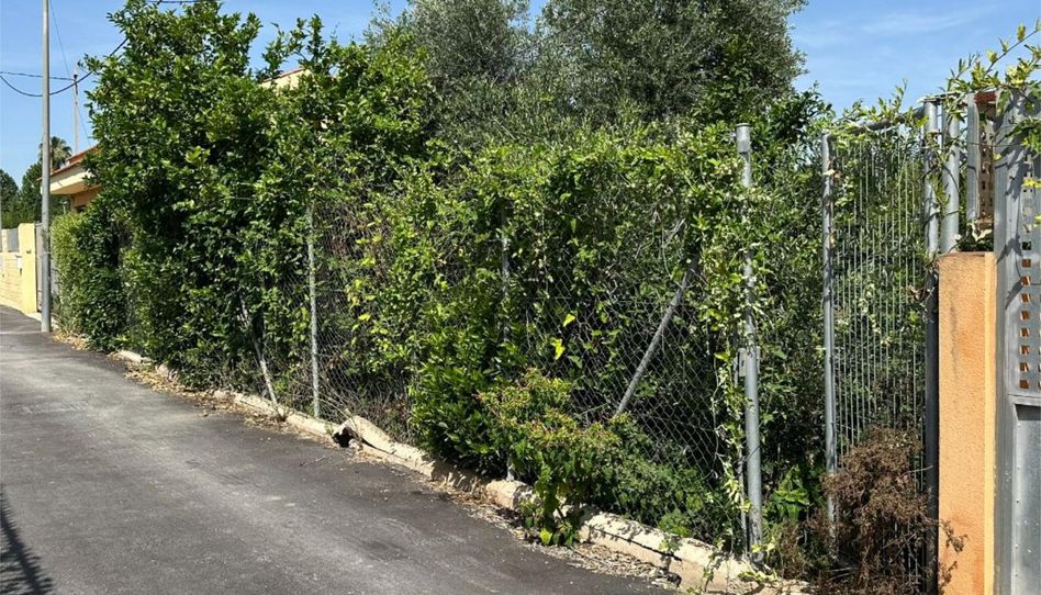 Terreno en venta en Carril Isidoros, 8, Rincón de Seca, Murcia Capital - imagen 1 Foto 1 de Terreno en venta en Carril Isidoros, 8, Rincón de Seca, Murcia Capital