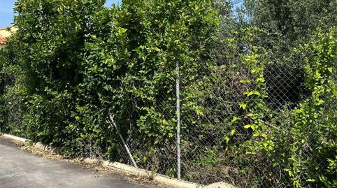 Terreno en venta en Carril Isidoros, 8, Rincón de Seca, Murcia Capital - imagen 2 Foto 2 de Terreno en venta en Carril Isidoros, 8, Rincón de Seca, Murcia Capital