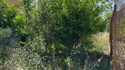 Terreno en venta en Carril Isidoros, 8, Rincón de Seca, Murcia Capital - imagen 5 Foto 5 de Terreno en venta en Carril Isidoros, 8, Rincón de Seca, Murcia Capital