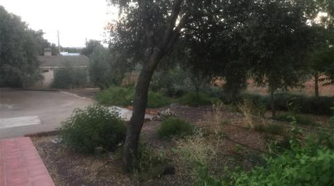 Flat for sale in Calle del Salobral, 6, Pozuelo de Calatrava, Ciudad Real - image 5 Photo 5 of Flat for sale in Calle del Salobral, 6, Pozuelo de Calatrava, Ciudad Real