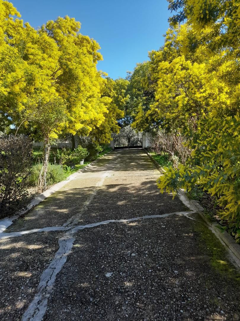 Exterior view of House or chalet for sale in San Román de los Montes  with Air Conditioner, Terrace and Swimming Pool