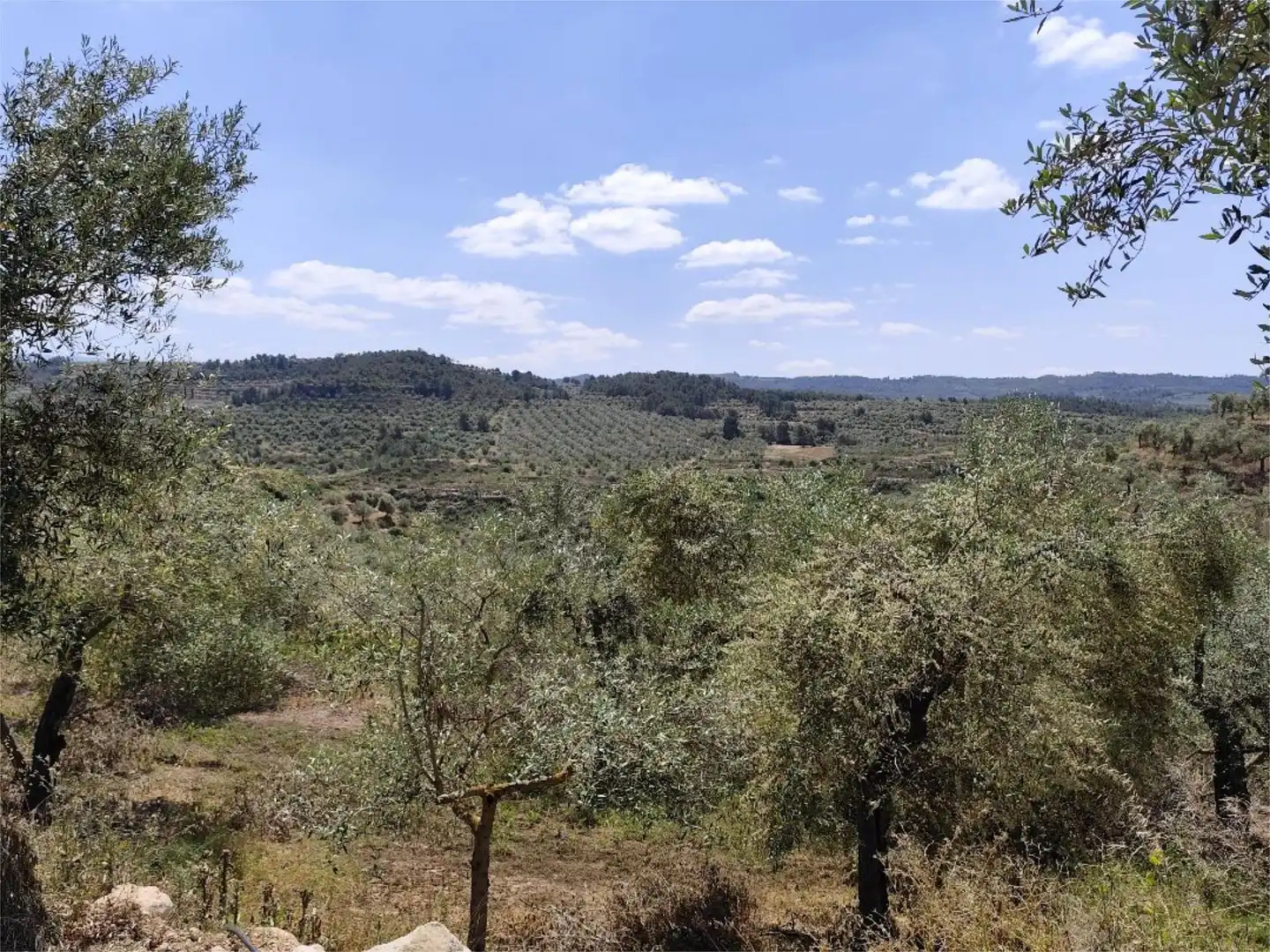 Terreno en venta en C-233, 10, Bovera Terreno en venta en Bovera