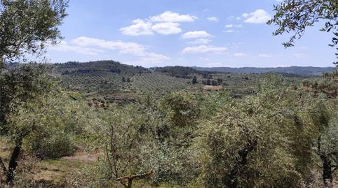 Terreny en venda a C-233, 10, Bovera, Lleida - imatge 3 Foto 3 de Terreny en venda a C-233, 10, Bovera, Lleida