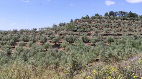 Terreny en venda a C-233, 10, Bovera, Lleida - imatge 2 Foto 2 de Terreny en venda a C-233, 10, Bovera, Lleida