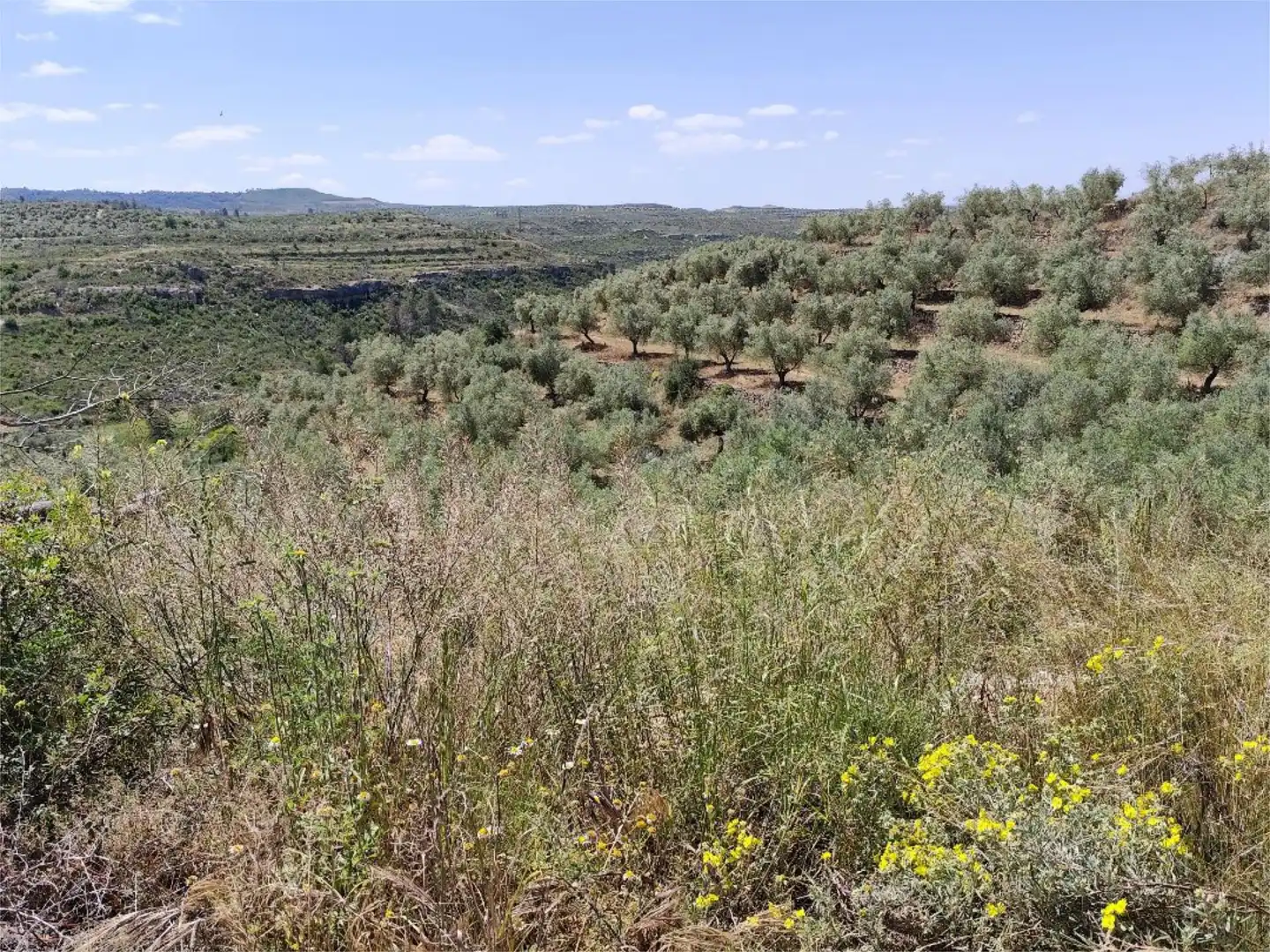 Terreno en venta en C-233, 10, Bovera Terreno en venta en Bovera