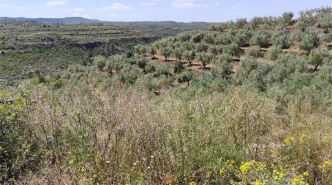 Terreny en venda a C-233, 10, Bovera, Lleida - imatge 4 Foto 4 de Terreny en venda a C-233, 10, Bovera, Lleida