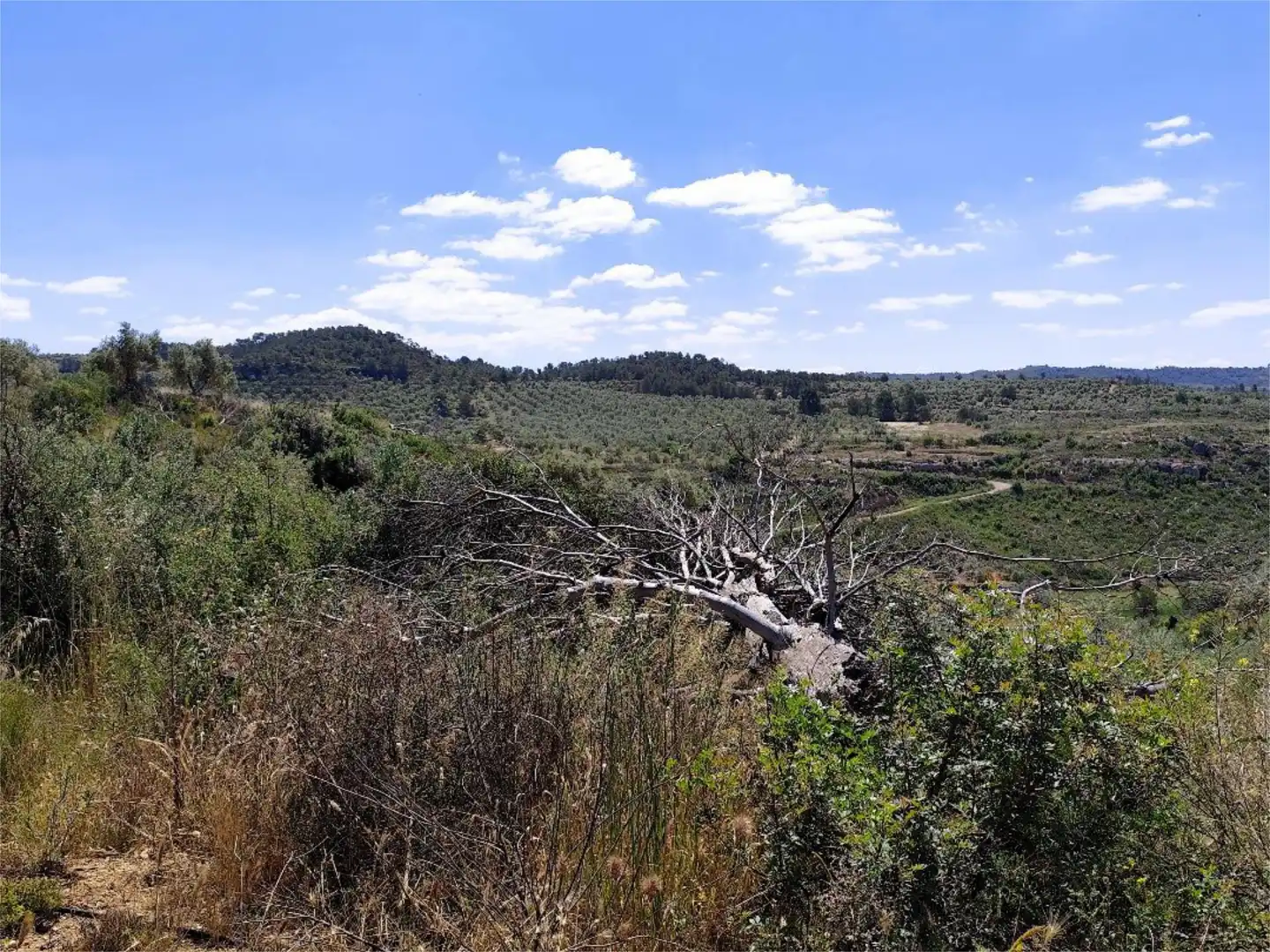 Terreno en venta en C-233, 10, Bovera Terreno en venta en Bovera