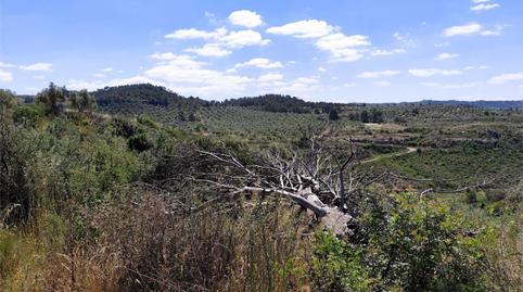 Terreny en venda a C-233, 10, Bovera, Lleida - imatge 5 Foto 5 de Terreny en venda a C-233, 10, Bovera, Lleida