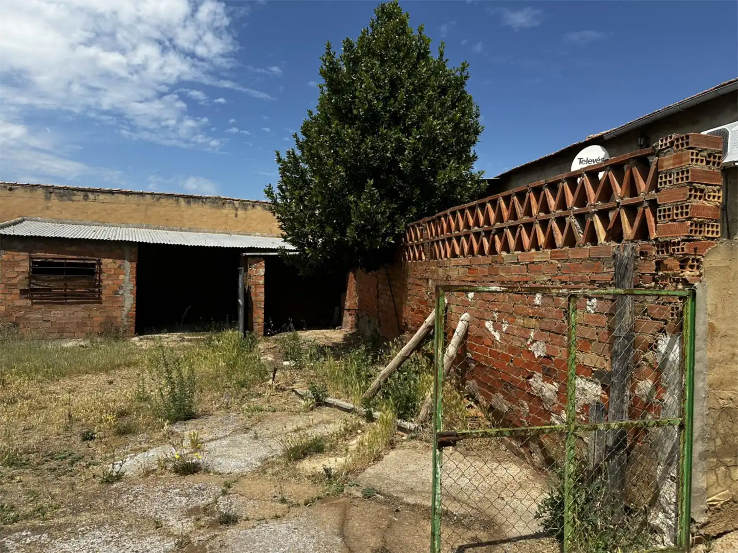 Vista exterior de Finca rústica en venta en Piedrabuena