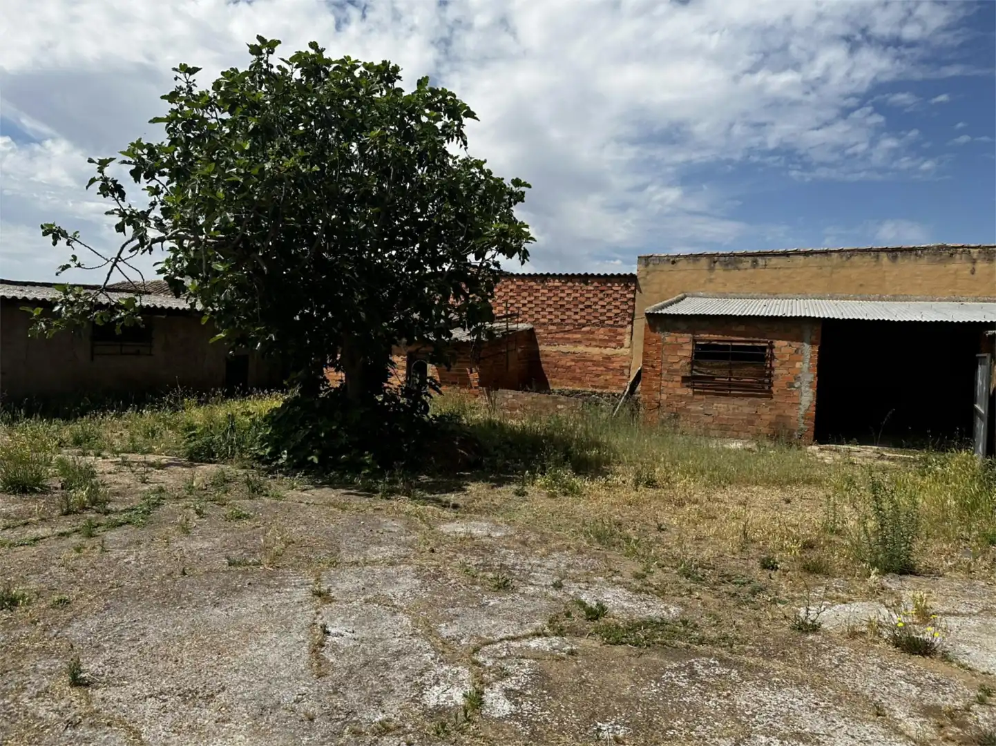 Finca rústica en venta en Piedrabuena