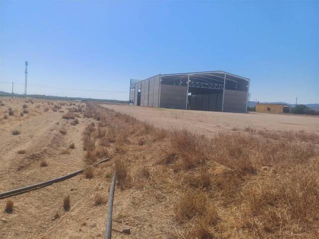 Terreno en Venta en Calle Nueva, 3 en Villagonzalo