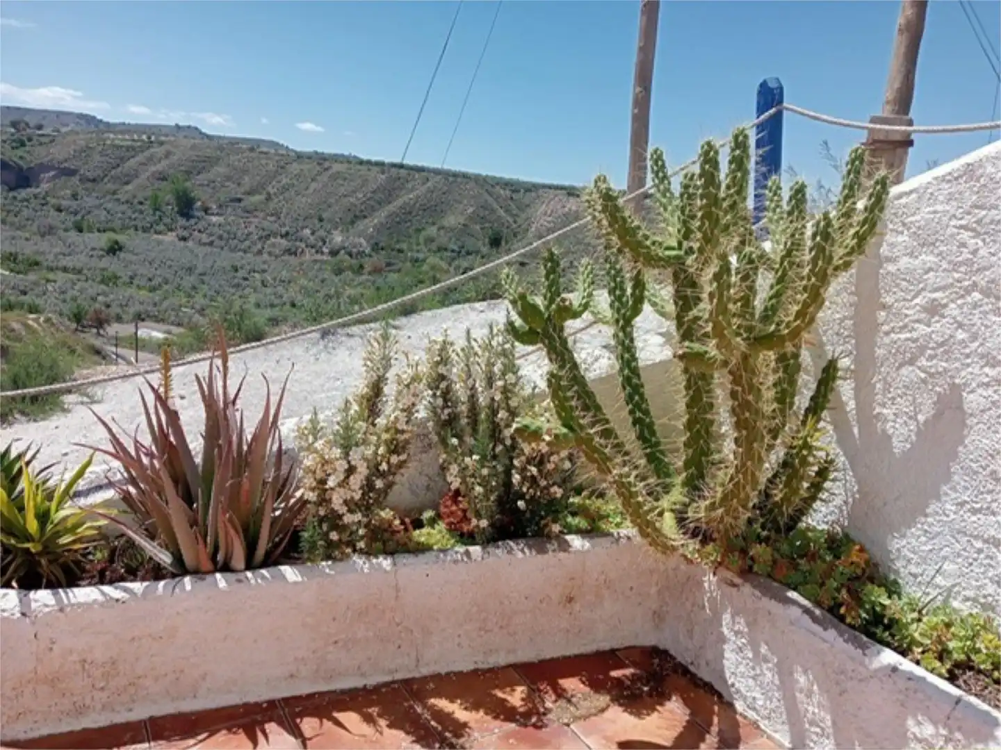 Jardí de Finca rústica en venda en Freila amb Terrassa