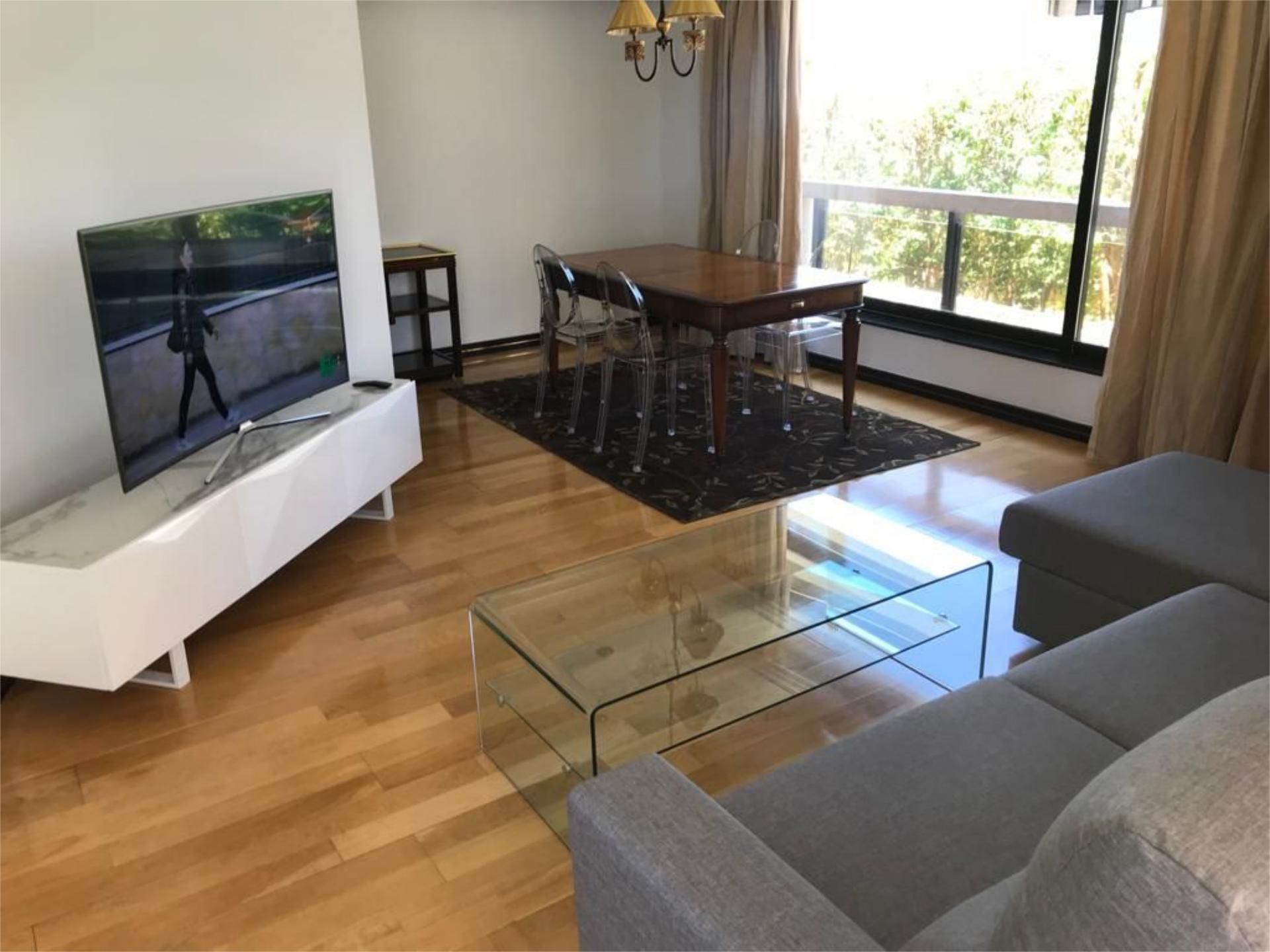 Living room of Flat to rent in  Madrid Capital  with Air Conditioner, Heating and Private garden