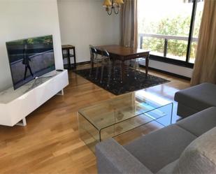 Living room of Flat to rent in  Madrid Capital  with Air Conditioner, Heating and Private garden