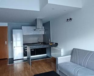 Kitchen of Duplex to rent in San Martín de Valdeiglesias  with Air Conditioner, Furnished and Washing machine