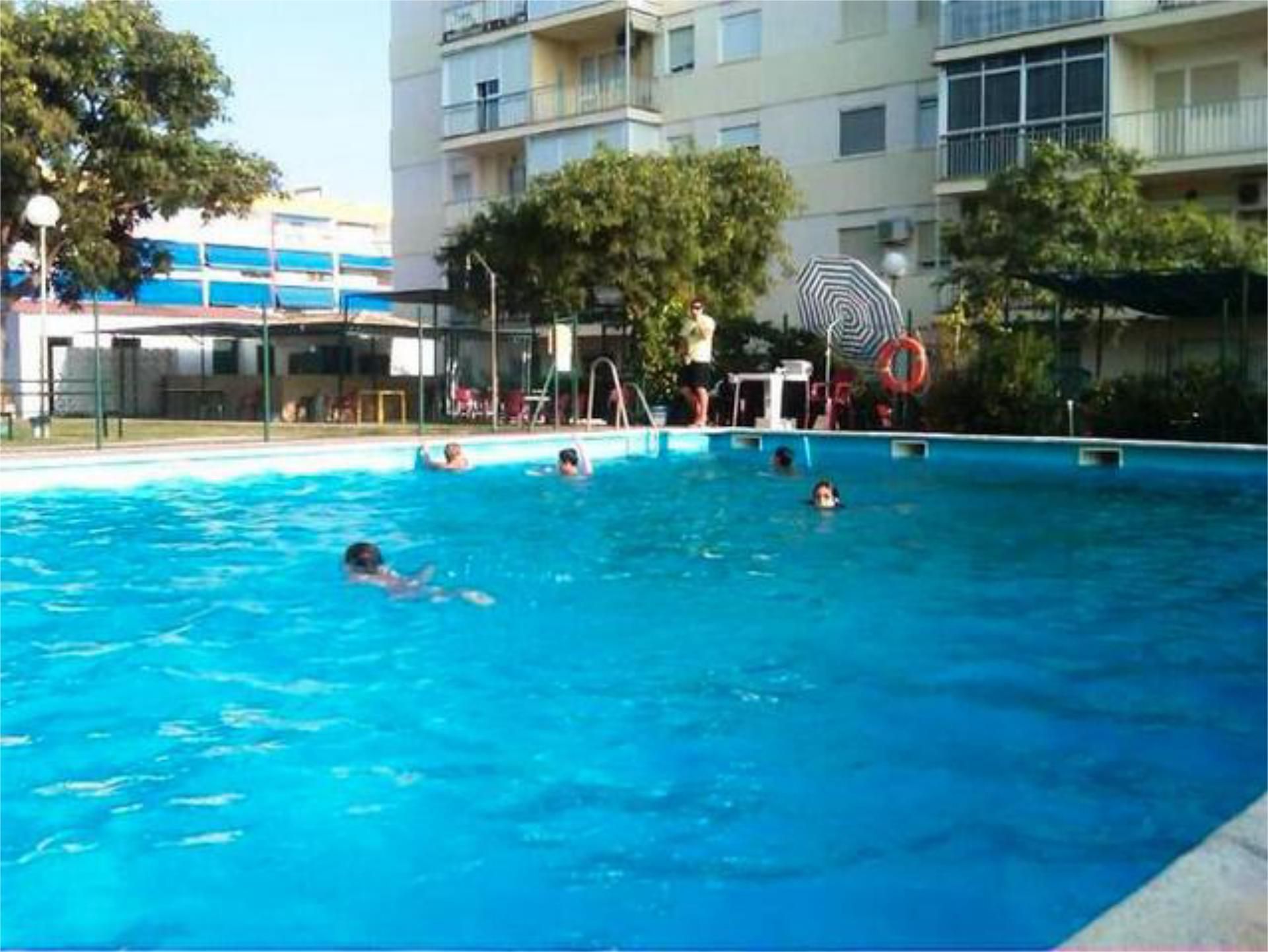 Swimming pool of Flat to rent in Almonte  with Private garden, Terrace and Swimming Pool