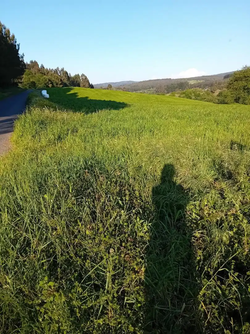 Grundstücke zum Verkauf in Lugar Silva, 1, Santiso Grundstücke zum Verkauf in Santiso