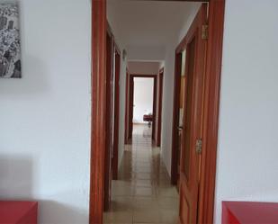 Flat to rent in Carrer del Doctor Manuel Candela, 72, Ciutat Jardí