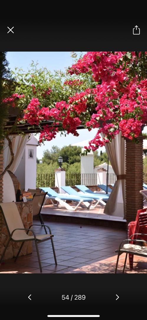Terrace of Flat to rent in Frigiliana
