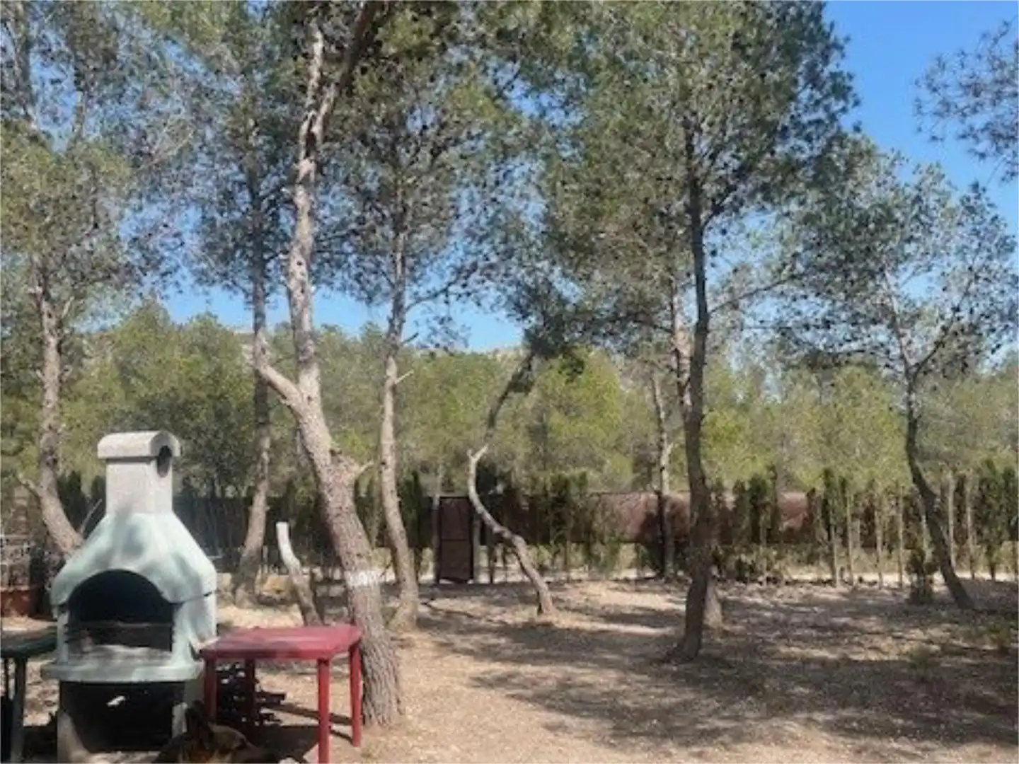 Garten von Wohnung zum Verkauf in Tibi mit Terrasse und Balkon