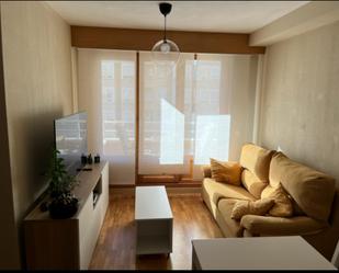 Sala d'estar de Apartament de lloguer en Burgos Capital amb Calefacció, Parquet i Terrassa