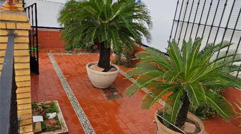 Photo 3 of Flat for sale in Calle Cristóbal Colón, 27, Pilas, Sevilla