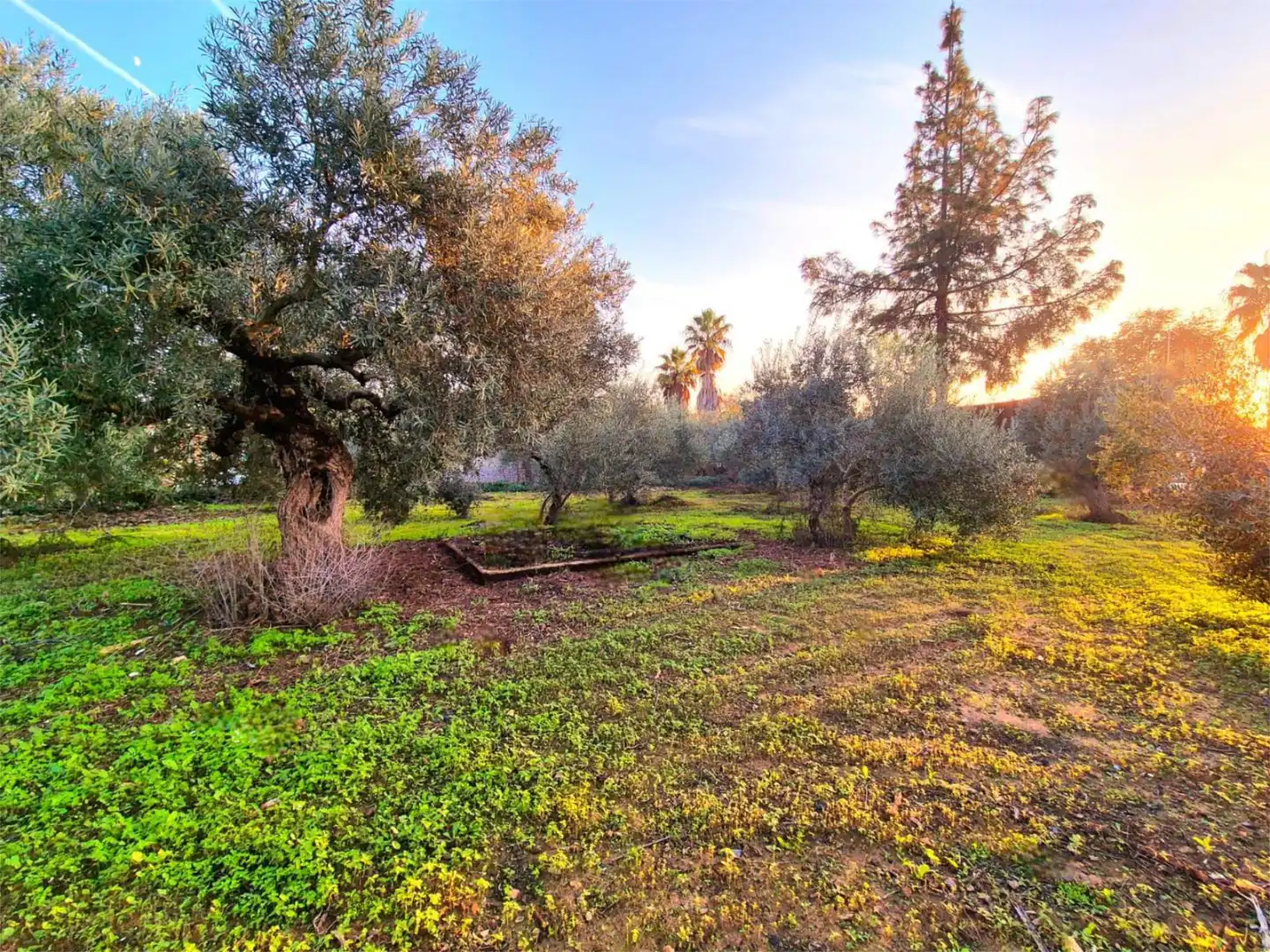 Jardín de Casa o chalet en venta en Utrera con Aire acondicionado, Calefacción y Jardín privado