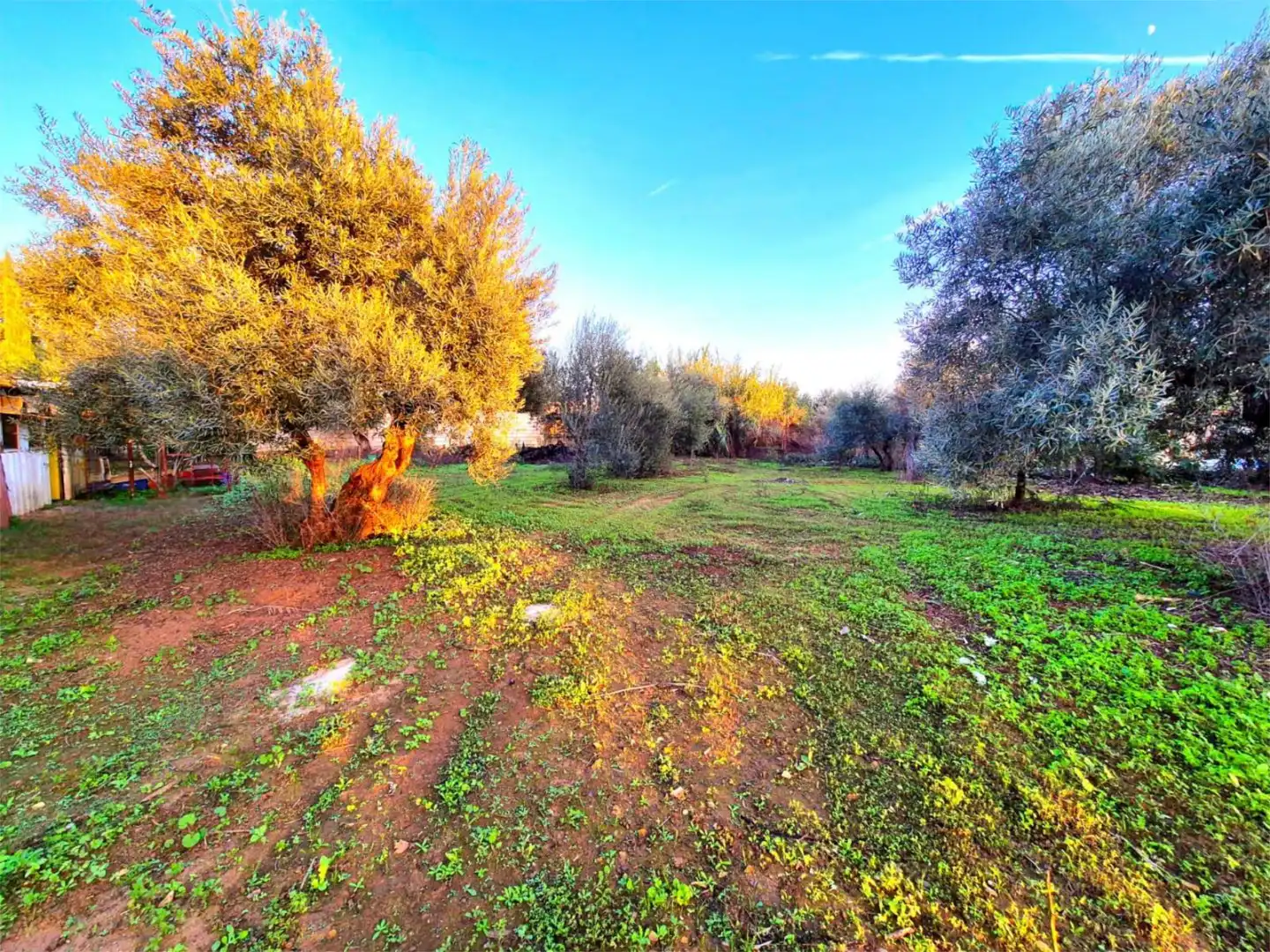 Casa o chalet en venta en Utrera con Aire acondicionado, Calefacción y Jardín privado