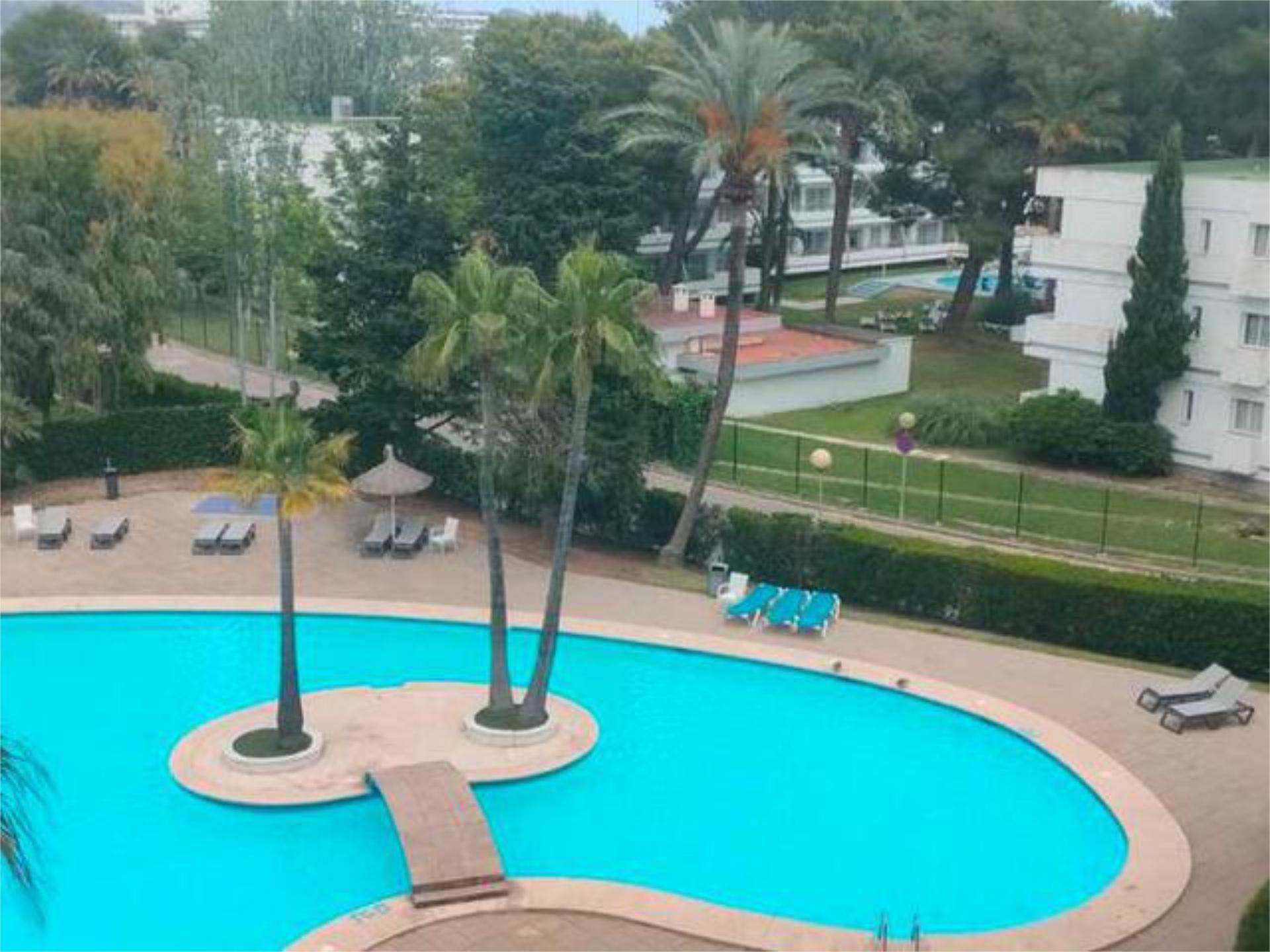Piscina de Apartament de lloguer en Alcúdia amb Calefacció, Terrassa i Piscina