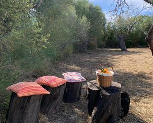 Garden of Non-constructible Land for sale in Montuïri