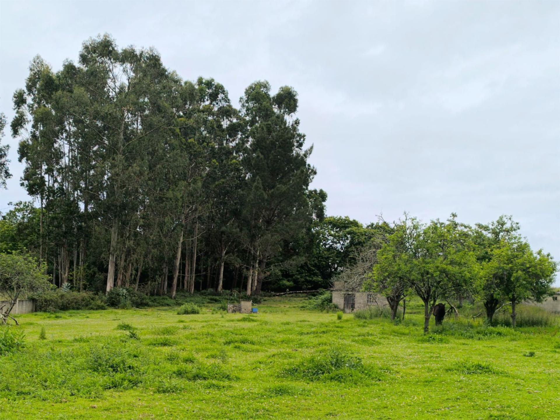 Urbanitzable en venda en Cambre 