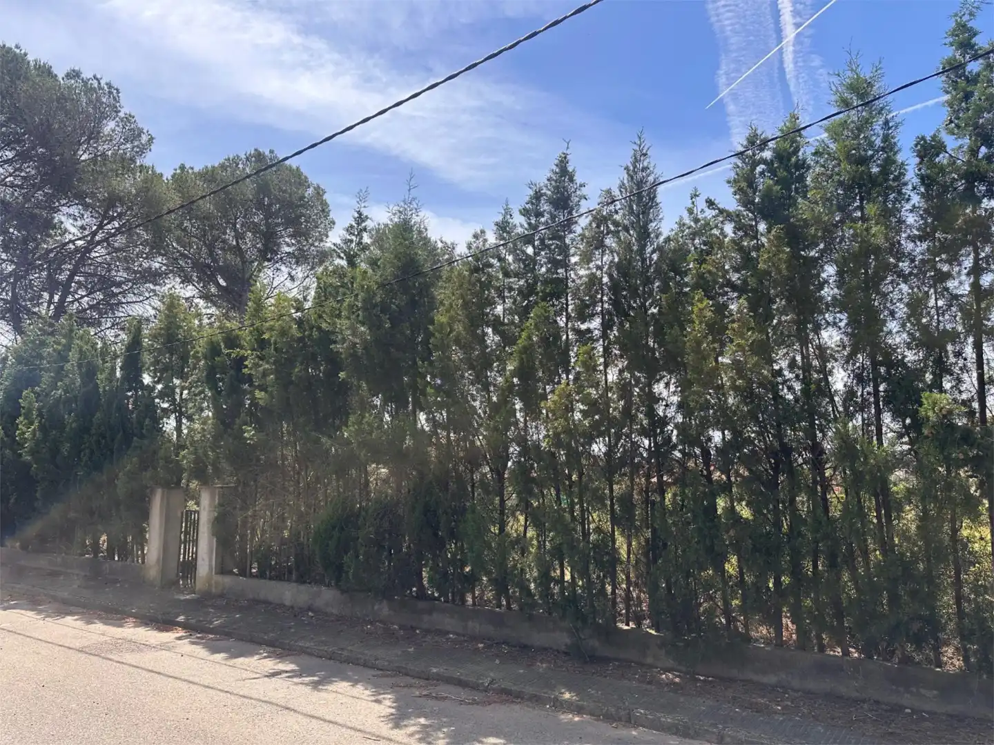Urbanizable en venta en Carrer Collbató, 85, El Bruc Urbanizable en venta en El Bruc