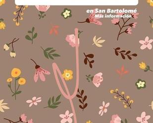 Garden of Flat to share in San Bartolomé